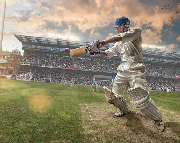 cricket image