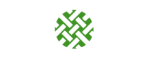 dynamic mesh icon