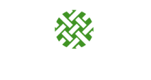 dynamic-mesh-icon dynamic mesh icon